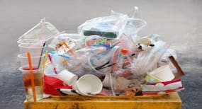 Usage Of Plastics In Food Industry Rampant But Major Concern Is Discharge Of Industrial Waste Into Rivers: Expert