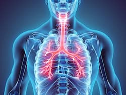 Air Pollution Can Damage Your Lungs Severely: Yoga Asanas And Exercises To Stay Safe
