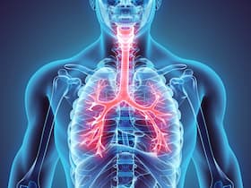 Air Pollution Can Damage Your Lungs Severely: Yoga Asanas And Exercises To Stay Safe
