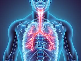 Air Pollution Can Damage Your Lungs Severely: Yoga Asanas And Exercises To Stay Safe