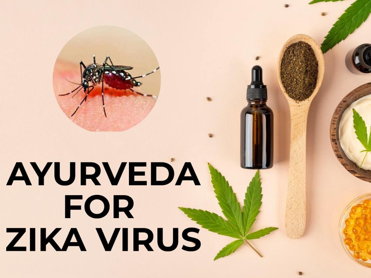 Zika Virus 5 Ayurvedic Remedies To Deal With This MosquitoBorne