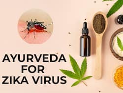 Zika Virus: 5 Ayurvedic Remedies To Deal With This Mosquito-Borne Diseases
