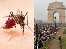 Dengue In Delhi: Over 900 Cases Reported In October, Taking Toll To 1,876