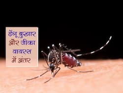 Zika And Dengue Fever: डेंगू बुखार और जीका वायरस में अंतर कैसे करें, जानिए इनके लक्षण और बचाव के तरीके