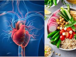 National Ayurveda Day 2021: हृदय रोगों की रोकथाम के लिए अपने वात दोष को करें कंट्रोल, जानिए वात दोष को ठीक रखने वाला डाइट प्लान