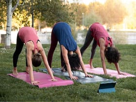 How Does Fitness Set Up A Disciplined Cycle Of Optimism?