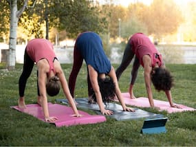 How Does Fitness Set Up A Disciplined Cycle Of Optimism?