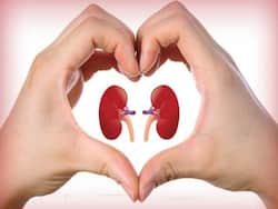 Foods for Healthy Kidney: किडनी को इन 5 कारणों से होता है नुकसान, स्वस्थ रहेगा गुर्दा जब डाइट में शामिल करेंगे ये 4 फूड्स