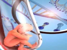 Genetic Complications During Pregnancy: Importance Of Early Detection