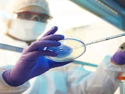 फ्रांस में मिला नया कोरोनावायरस वेरिएंट बी.1.एक्स या बी.1.640, लोगों की चिंता बढ़ी