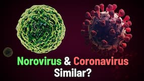 Is Norovirus Infection A Severe Threat To People? Know Reason Behind It's Spread And Precautionary Measures To Follow | Watch Video Is Norovirus Infection A Severe Threat To People? Know Reason Behind It's Spread And Precautionary Measures To Follow | Watch Video