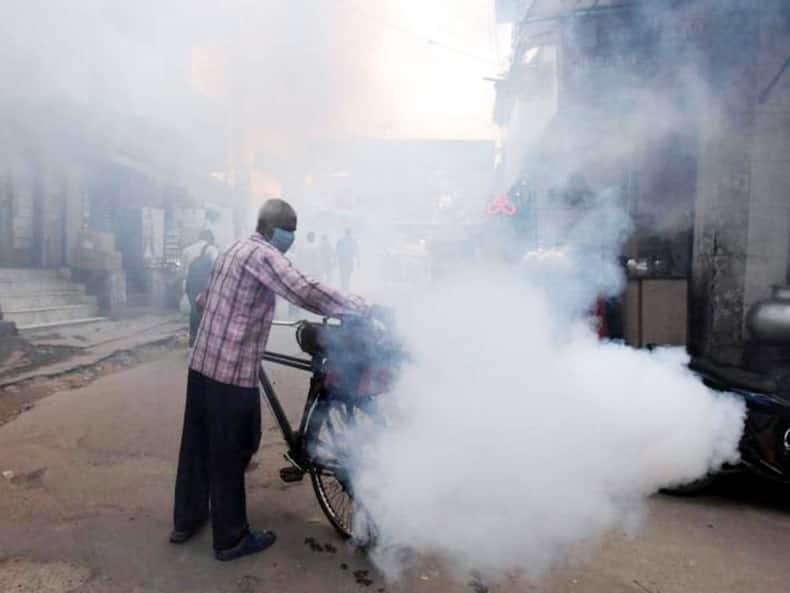 Dengue Cases On The Rise In India: Stay Hydrated, Avoid Unnecessary Painkillers And Antibiotics, Suggest Experts