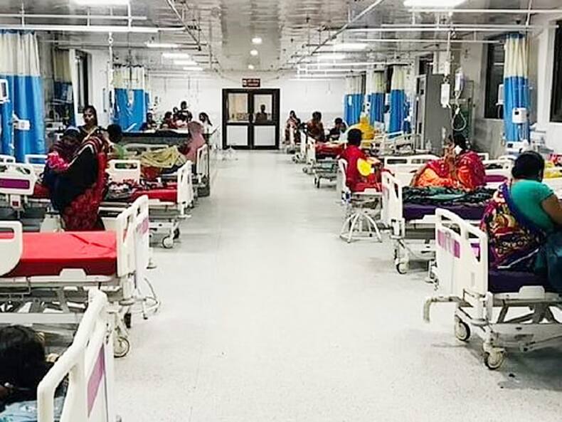 Dengue Cases On The Rise In India: Stay Hydrated, Avoid Unnecessary Painkillers And Antibiotics, Suggest Experts