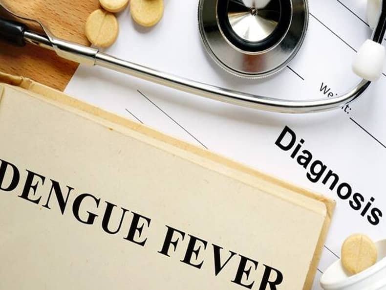 Dengue Cases On The Rise In India: Stay Hydrated, Avoid Unnecessary Painkillers And Antibiotics, Suggest Experts