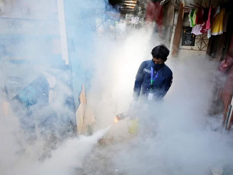 Dengue Cases On The Rise In India: Stay Hydrated, Avoid Unnecessary Painkillers And Antibiotics, Suggest Experts