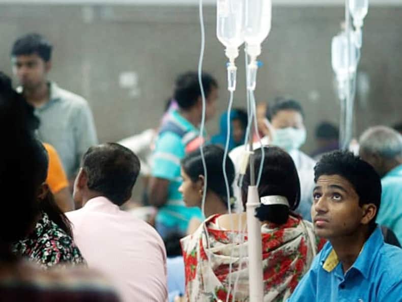 Dengue Cases On The Rise In India: Stay Hydrated, Avoid Unnecessary Painkillers And Antibiotics, Suggest Experts