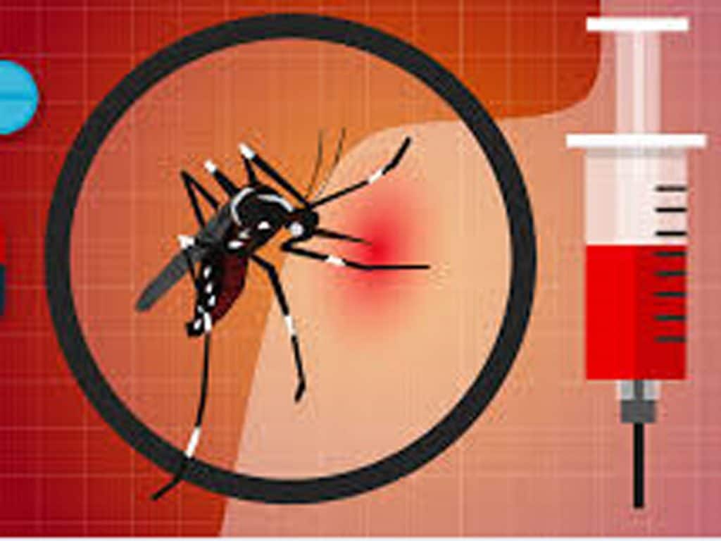 dengue
