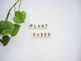 Plant Based Diet for BP: प्लांट बेस्ड डाइट से कम होगा हाई ब्लड प्रेशर, जानें किन चीजों को करें भोजन में शामिल
