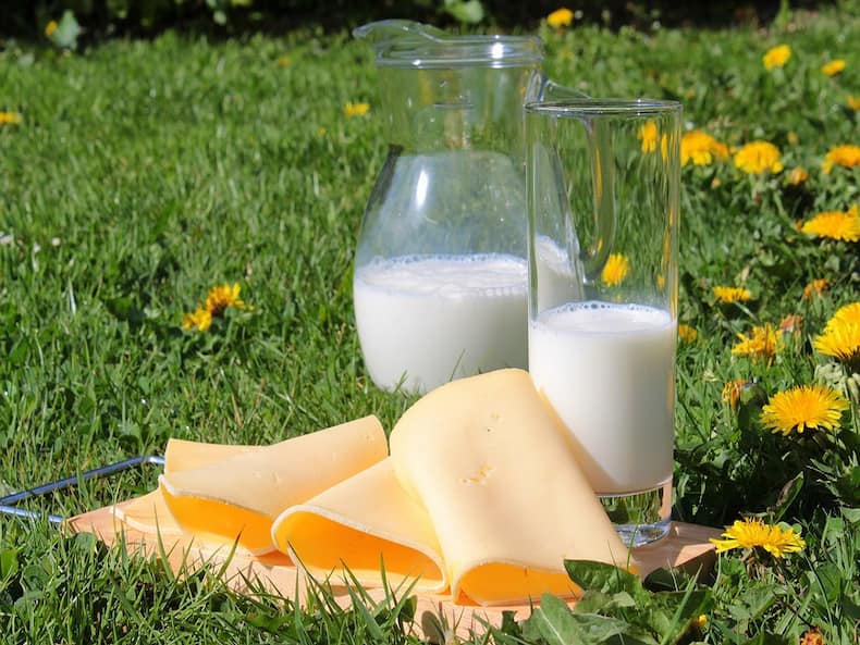 At Risk Of Diabetes? Choose Your Dairy Products Carefully, Here's Why