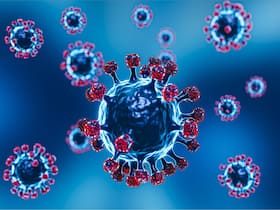 WHO Names New    Highly Transmissible    COVID Variant    Omicron