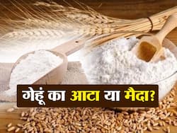 Atta vs Maida Benefits: गेहूं का आटा या मैदा? सेहत के लिए क्या है अधिक फायदेमंद जानें यहां...