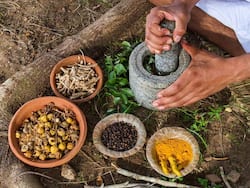 आयुष मंत्रालय ने भूख न लगने, स्मरण शक्ति बढ़ाने और कब्ज को ठीक करने का बताया आयुर्वेदिक उपचार, जानिए