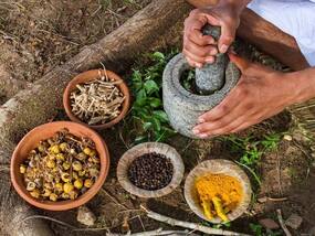 आयुष मंत्रालय ने भूख न लगने, स्मरण शक्ति बढ़ाने और कब्ज को ठीक करने का बताया आयुर्वेदिक उपचार, जानिए