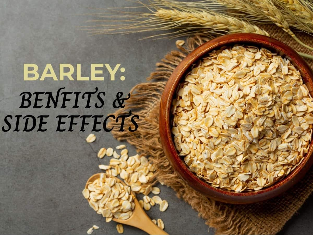 Barley Health Benefits, Uses, Side Effects and More