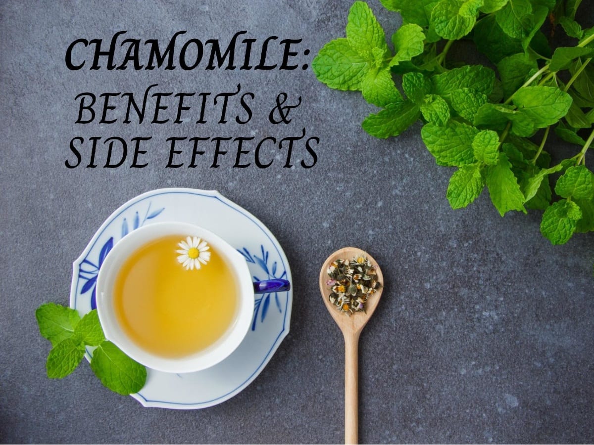Chamomile: Health Benefits, Uses, Side Effects and More
