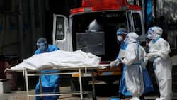 बुजुर्गों को नहीं बल्कि इन लोगों को है कोविड से मौत को खतरा 233 फीसदी अधिक, स्टडी में हुआ खुलासा