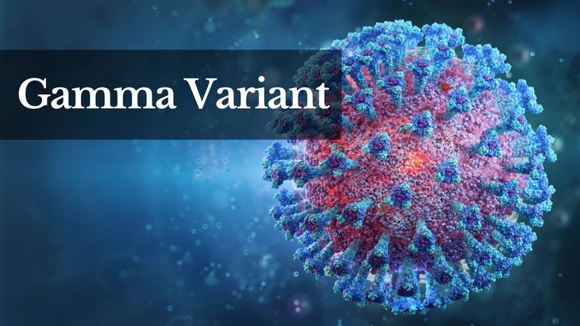 COVID-19 Variants of 2021: List of All The Coronavirus Variants That ...