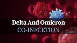 Can You Get Infected With Both Delta and Omicron At The Same Time? Expert Has The Answer