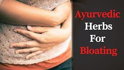 Feeling Bloated? 7 Ayurvedic Herbs To Help You Get Rid of Abdominal Gas