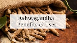 Ashwagandha: Health Benefits, Uses, Side Effects and More