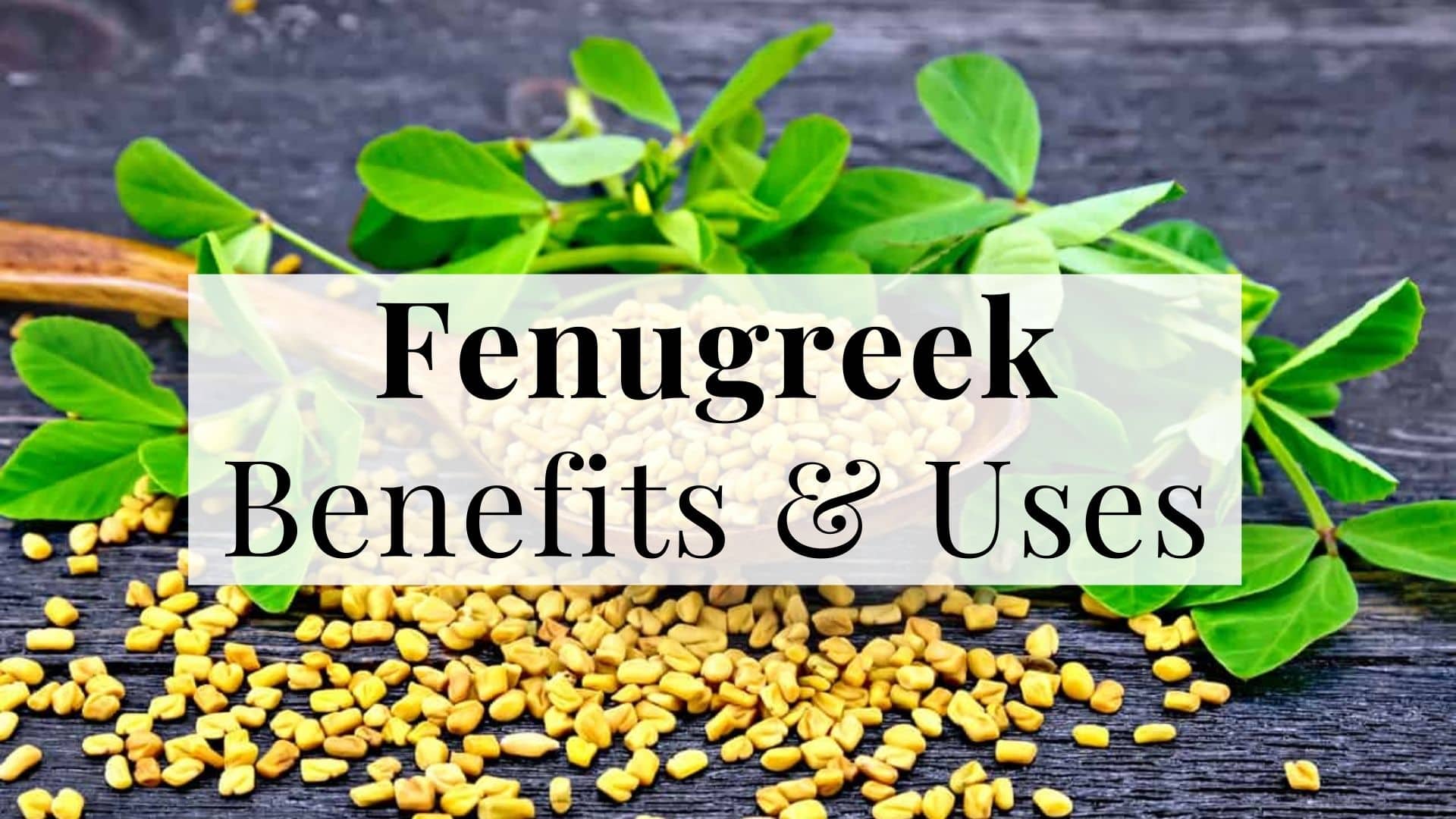 Fenugreek: Health Benefits, Uses, Side Effects and More 