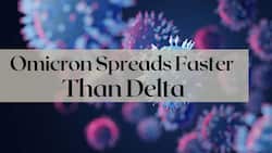 Omicron COVID-19 Variant Reduces Vaccine Efficacy, Spreads Faster Than Delta: WHO Warns