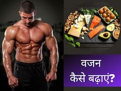 Weight Gain Diet: मोटे होना चाहते हैं सर्दियों में खाएं ये 10 फूड, दुबले-पतले शरीर में आ जाएगी जान