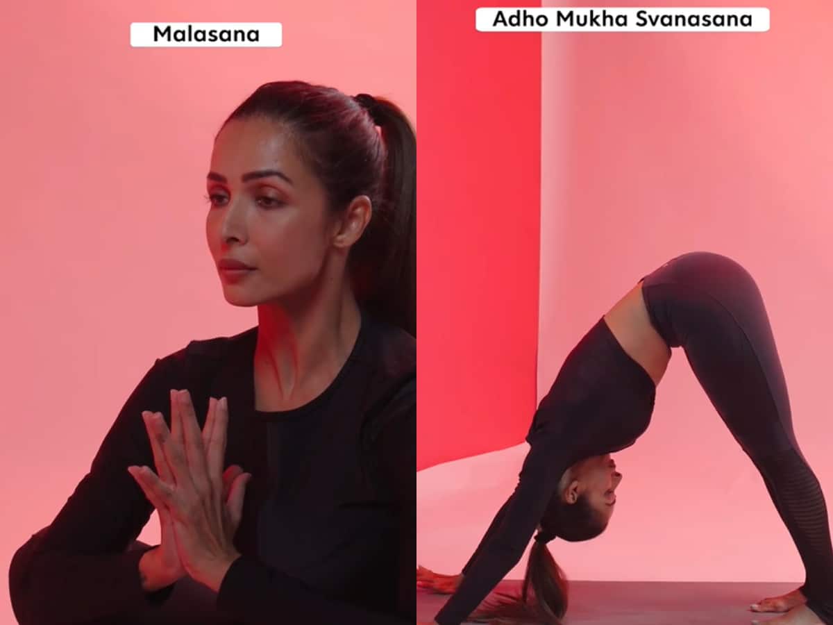 Malaika Arora's 10 favourite yoga asanas