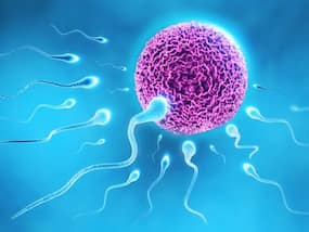 Male Infertility: भारत में क्यों बढ़ रही है पुरुष बांझपन की समस्या, क्या है पुरुषों की इस समस्या का कारण और समाधान
