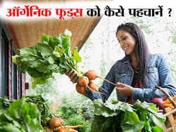Organic फल-सब्जियों और केमिकल वाले उत्पादों में होते हैं ये 3 बड़े अंतर, ऐसे करें शुद्ध भोजन का चयन