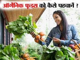Organic फल-सब्जियों और केमिकल वाले उत्पादों में होते हैं ये 3 बड़े अंतर, ऐसे करें शुद्ध भोजन का चयन Organic फल-सब्जियों और केमिकल वाले उत्पादों में होते हैं ये 3 बड़े अंतर, ऐसे करें शुद्ध भोजन का चयन