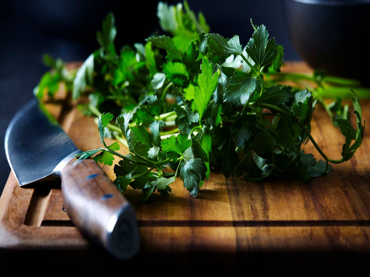 Feeling Bloated? 7 Ayurvedic Herbs To Help You Get Rid of Abdominal Gas