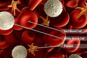 Rare Blood Disorders In India: How It Can Lead To Disabilities In People, Expert Explains