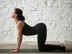 Exercise For Back Pain: पीठ दर्द में दवा का काम करती है ये 4 स्ट्रेचिंग एक्सरसाइज, रोजाना इस समय करने पर मिलेगा फायदा