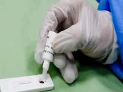 Rapid Antigen Tests Less Sensitive Against Omicron: US FDA