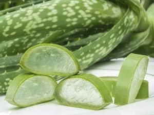 Aloe Vera Juice: Benefits, Nutrition, and Risks