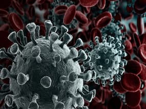 Pfizer's COVID-19 Pills Effective Against Omicron Variant, Can Reduce Hospitalizations And Deaths By 89%