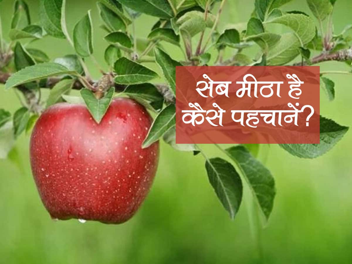 How to find Sweet Apple in hindi खरीदा हुआ सेब मीठा है या नहीं कैसे