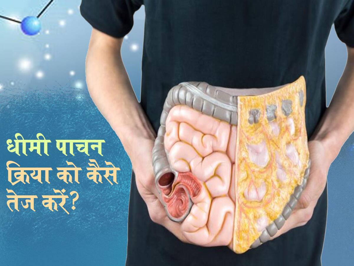 How to improve Digestive system in hindi सुबह का खाना शाम तक नहीं पचा