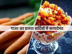 Gajar ka Halwa in winter : सर्दियों में गाजर का हलवा इम्यून सिस्टम को करता है बूस्ट! सही तरीके से बनाने पर मिलेगा फायदा, जानें तरीका url-amazing-health-
